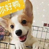 反复练习了