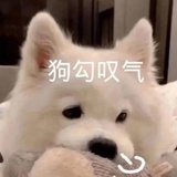 楽木