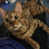 Carlos