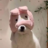 年年