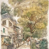 ZHL