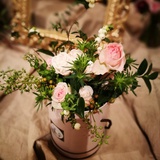 子芸君