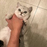 初一