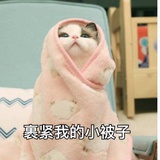 别想欺负我胖虎