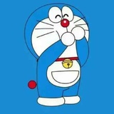 懵懵锐锐