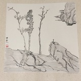 天山共色