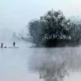 o飞鱼和几何猫o