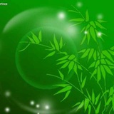 一木一子