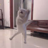 夏天吃西瓜