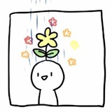 糖糖