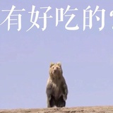风软一江水.