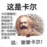 9527的自我修养