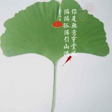 满满