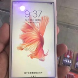 大鱼