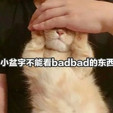 ●﹏●