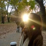 sorry我没有微博