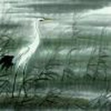 亢龙有悔