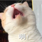 世界