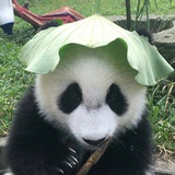 彼端世界