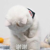 糯烟