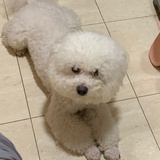 一包臭香烟