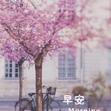 鸢一
