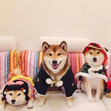 玲子