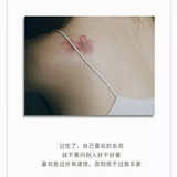 铩羽鸷鸟之不群