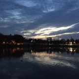 杨雯静