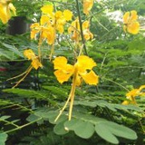 小万