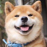 自然卷老太太