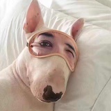 兰昱🐟