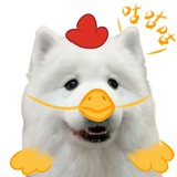 才不吃胡萝卜呢