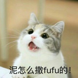 大颠佬