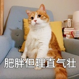 记忆已被囫囵吞