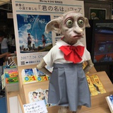 吃糖不啊