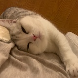 yaoyulu誉璐