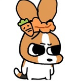 喂