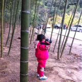 逍遥