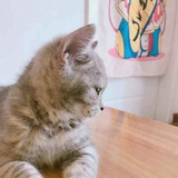 阿冉
