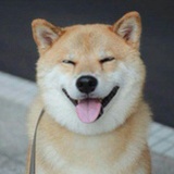 二狗学投资