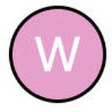 wizton