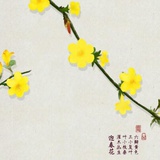 不，你不想