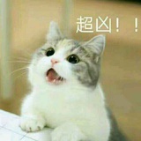 名字好听还不长