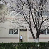 阮嘟