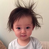 缺德的小山驴