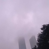 天边鸿雁