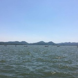 涛2018