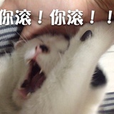 灵魂伴侣