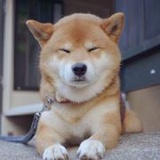 一麻袋ii